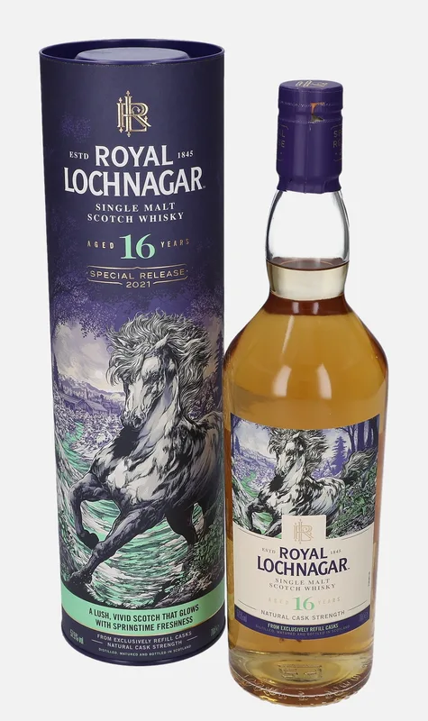 Lochnagar – The Spring Stallion 16 Year Old
