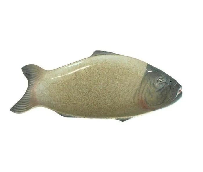 AB Göteborgs Porslinsfabrik - Christian Andreasen en Gustaf Eriksson - Serving plate - Groot vis-serveerbord in karpervorm - 45 cm - Earthenware