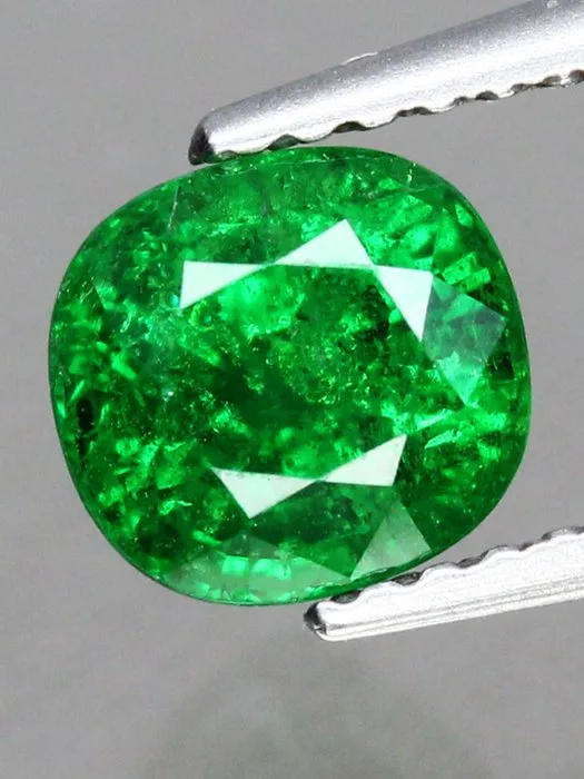 1 pcs Green Garnet, Tsavorite - 1.48 ct - Antwerp Laboratory for Gemstone Testing (ALGT)