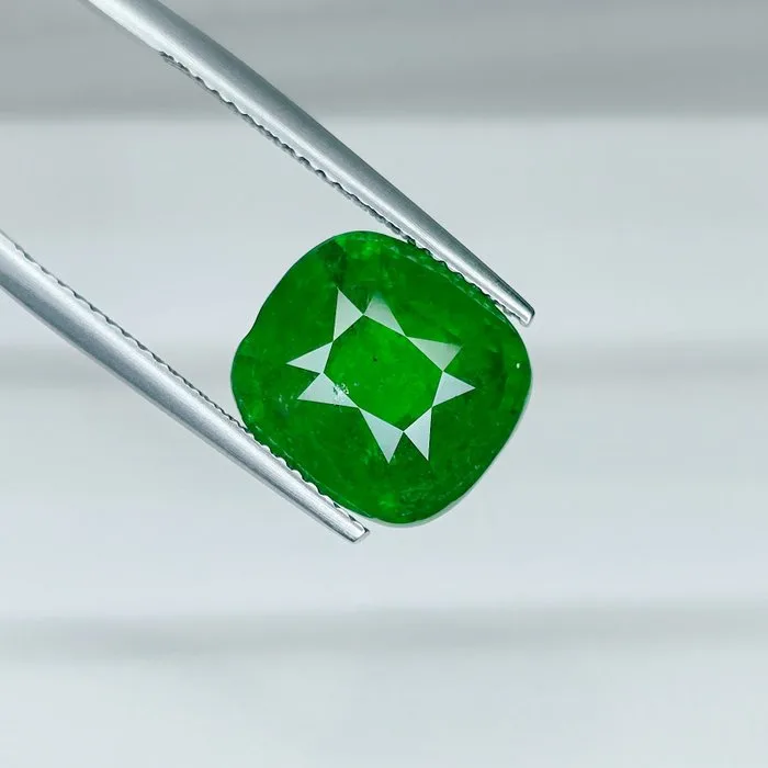Tsavorite - 9.16 ct - International Gemological Institute (IGI)