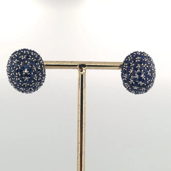 Earrings - 18 kt. White gold Sapphire