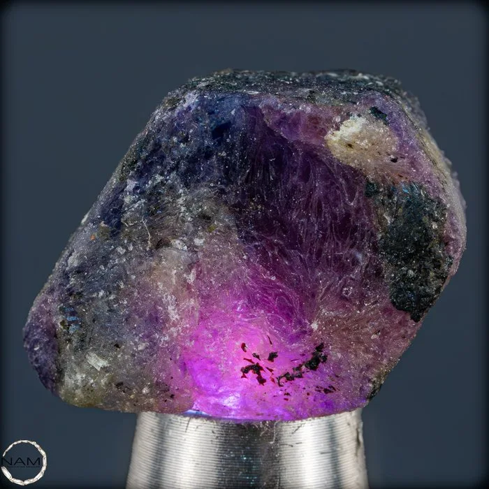 Natural multicolored sapphire crystal – An exceptional collector's piece of top quality — 70.05 ct from Kenya- 14.01 g
