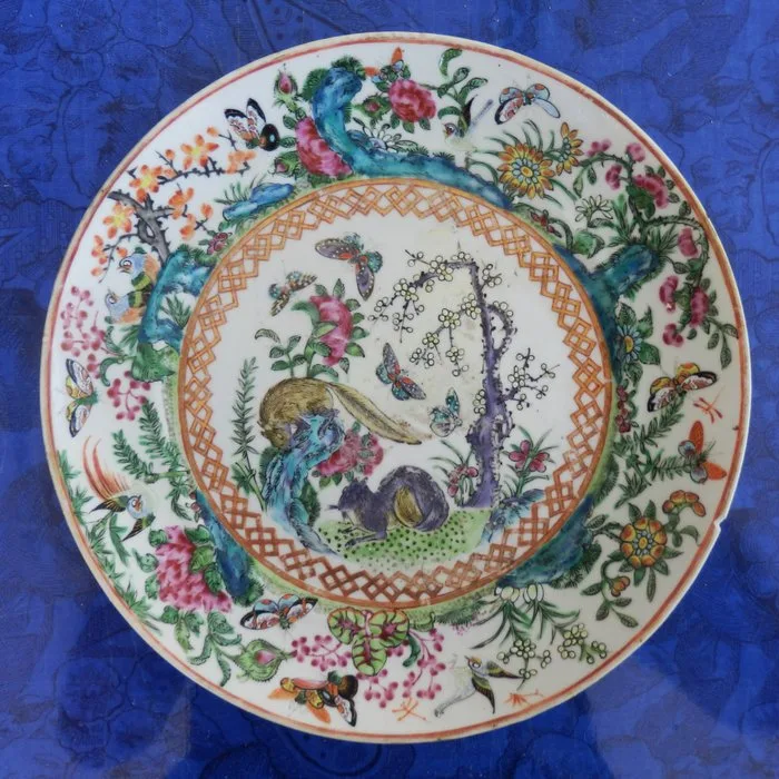 Plate - RARE CANTON à décor animalier - Porcelain - RARE CANTON 19th