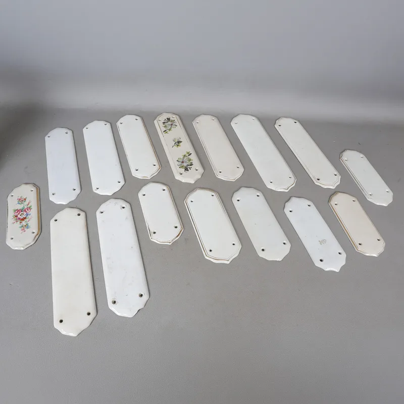 A Collection of Sixteen Late Victorian/ Edwardian Porcelain Finger/door Plates (16)