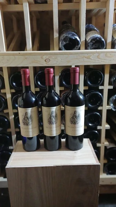 2016 2019 & 2020 Catena Zapata Nicasia Vineyard Malbec - Mendoza - 3 Bottles (0.75L)