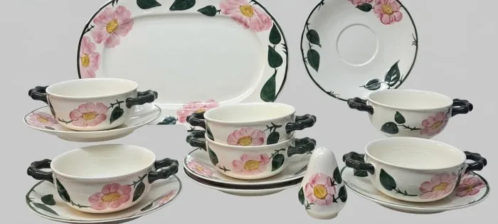 Villeroy & Boch - Dinner service (14) - Wild-Rose - Vitro-Porcelain - Excellent condition