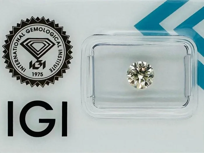 1 pcs Diamond (Natural) - 1.21 ct - Round - VS1 - International Gemological Institute (IGI) - W - X