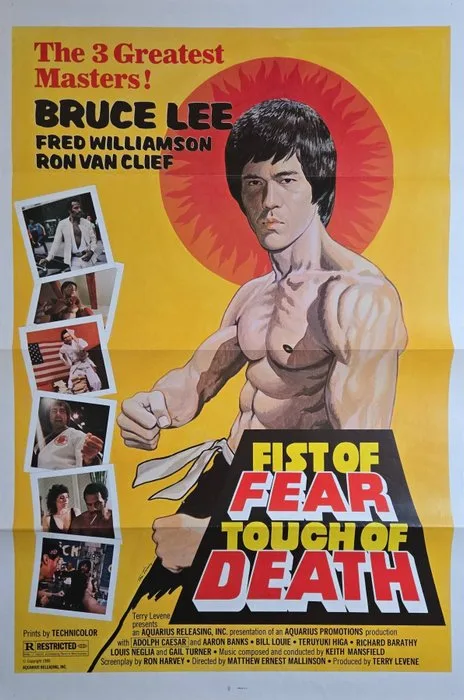 Tom Tierney - Fist of Fear Touch of Death - 1980s