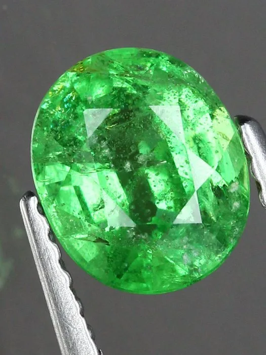 1 pcs Green Garnet, Tsavorite - 1.47 ct - Antwerp Laboratory for Gemstone Testing (ALGT)