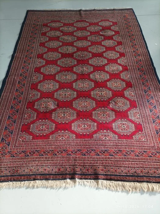 Buchara - Rug - 230 cm - 157 cm