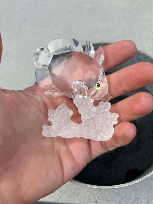 Swarovski - Figure - Butterfly Fish -on coral - 162888 - Box + Certificate - Crystal