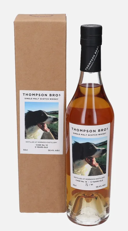 Dornoch – 2017 5 Year Old