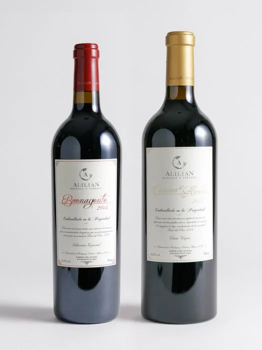 2013 Bodegas y Viñedos Alilian, Camino del Abuelo & 2013 Alilian Buenagente - Ribera del Duero - 2 Bottles (0.75L)