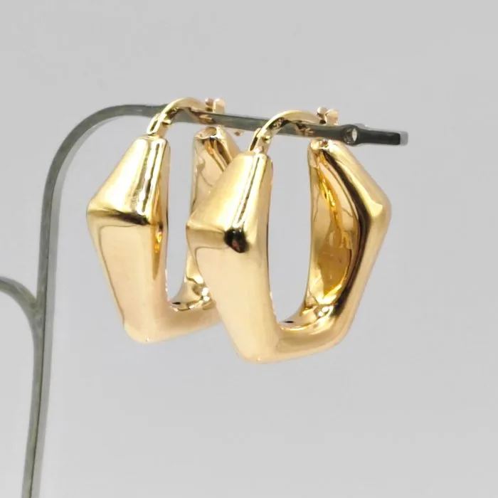 Earrings - 18 kt. Yellow gold