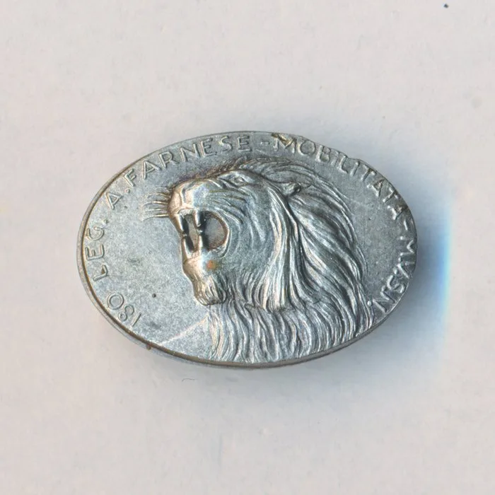 Italy - Medal - distintivo Milizia MVSN leoni della 180 Legione Parma AOI
