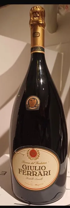 1999 Giulio Ferrari, Riserva del Fondatore - Trentino - 1 Magnum (1.5L)