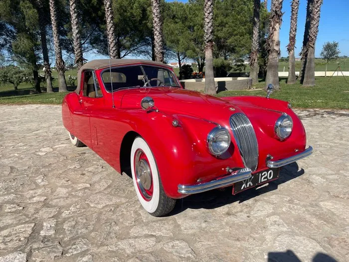 Jaguar - XK120 DHC 3.4 - 1954