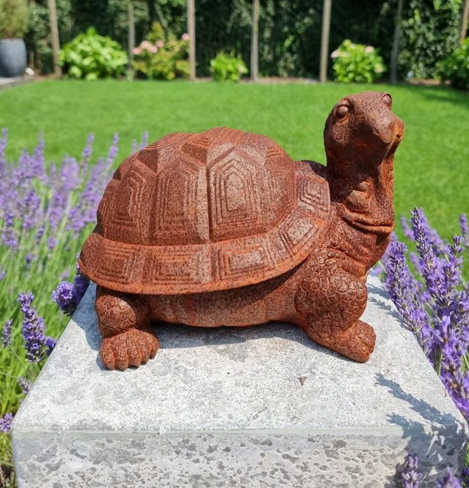 Figurine - Turtle - Iron