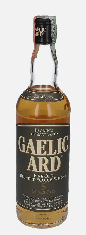 Gaelic Ard – 5 Year Old