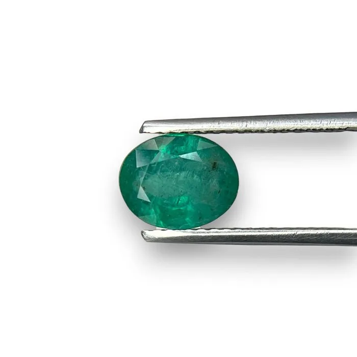 1 pcs Green Emerald - 3.49 ct - International Gemological Institute (IGI) - ZAMBIA