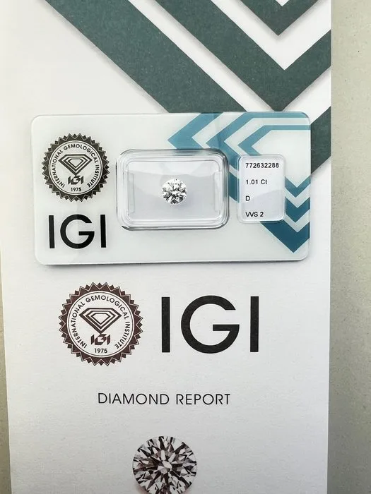 1 pcs Diamond (Natural) - 1.01 ct - Round - D (colourless) - VVS2 - International Gemological Institute (IGI)