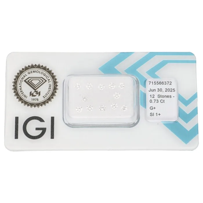 12 pcs Diamond (Natural) - 0.73 ct - Round - G - SI1 - International Gemological Institute (IGI)