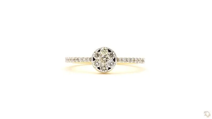 Ring - 18 kt. Yellow gold - 0.41ct. tw. Diamond (Natural) - 18karat Cluster Ring