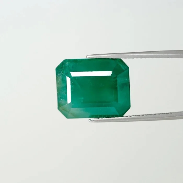 1 pcs Green Emerald - 13.72 ct - Guild Gem Laboratory