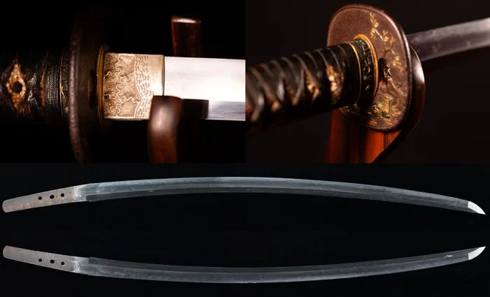 Katana - tamahagane - Nihonto Katana in beautiful dragon koshirae - Japan - Edo Period (1600-1868)