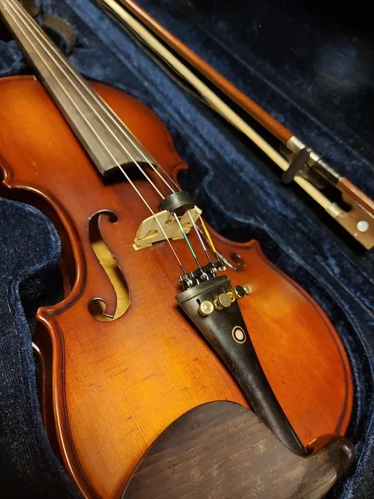 Warshall - 3/4 met sourdine en schoudersteun - Violin