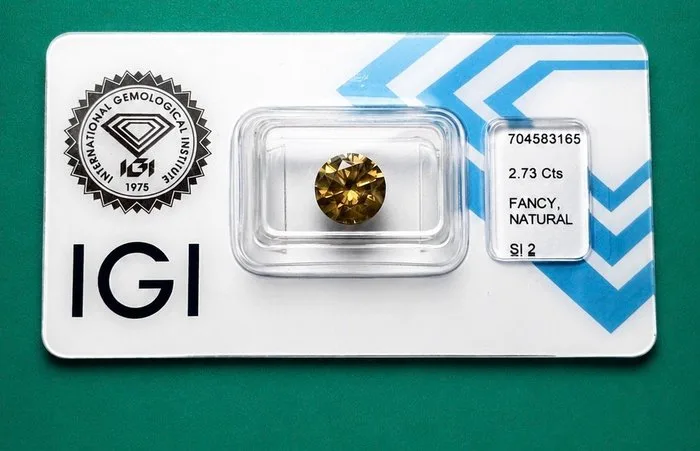 1 pcs Diamond (Natural) - 2.73 ct - Round - SI2 - International Gemological Institute (IGI) - 2.73 ct Natural Fancy