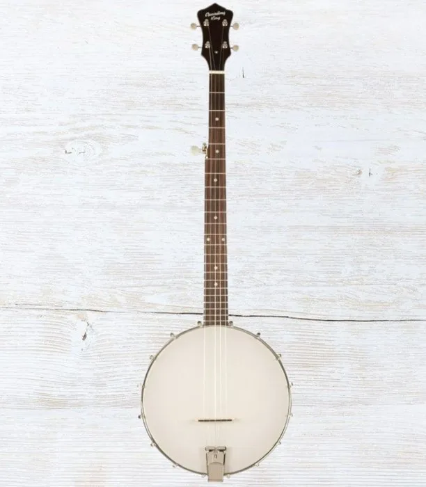 Recording King - RKOH-05 - 5-String Open-Back Banjo - Five-stringed banjo