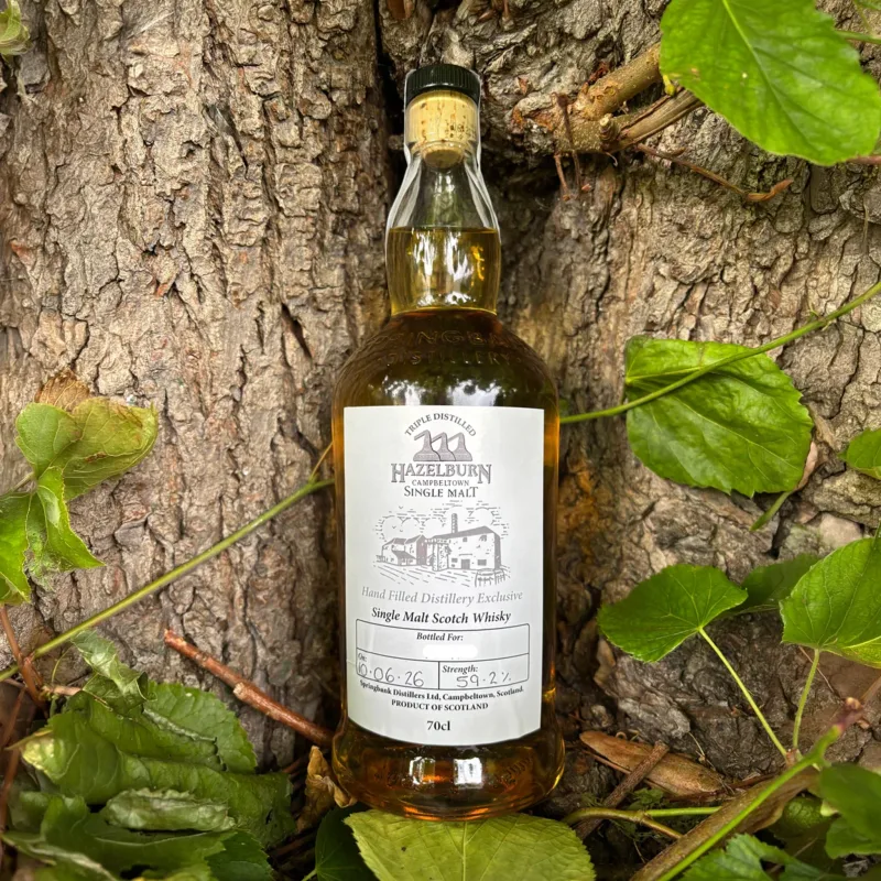 Hazelburn – 2026 Hand Filled Distillery Exclusive Single Malt