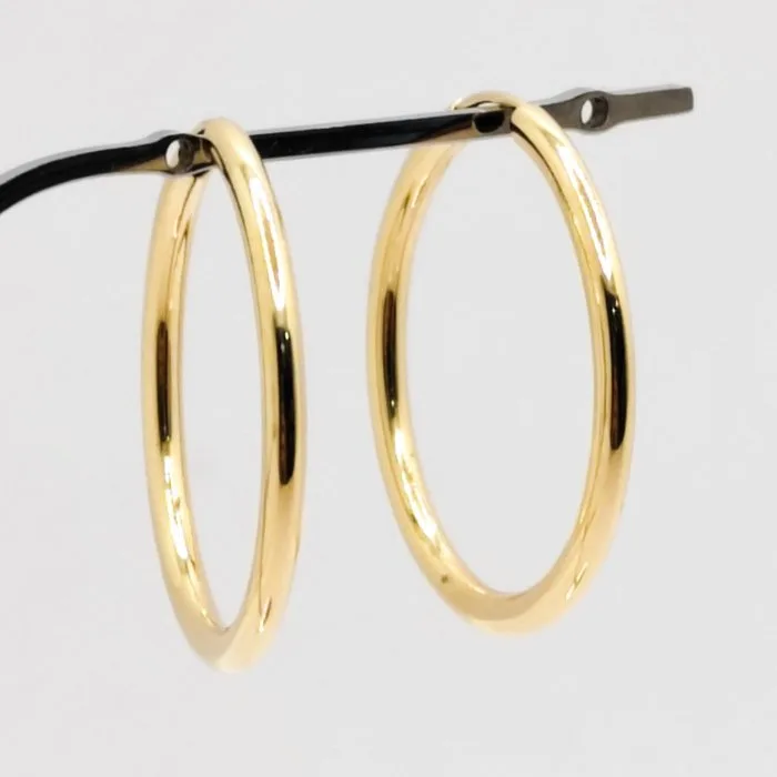 Earrings - 18 kt. Yellow gold