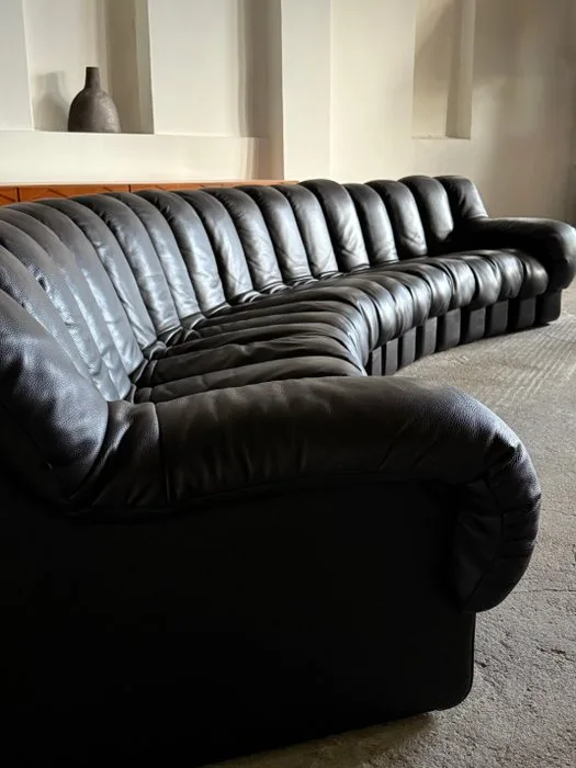 de Sede - Ueli Berger, Eleonore Peduzzi Riva, Heinz Ulrich, Klaus vogt - Sofa (22) - DS-600 - Leather, Wood - Modular