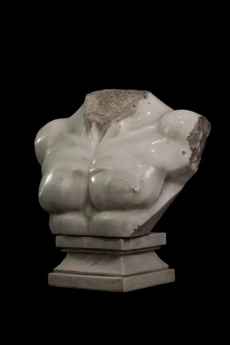 Sculpture, Torso busto in marmo - 47 cm - Marble