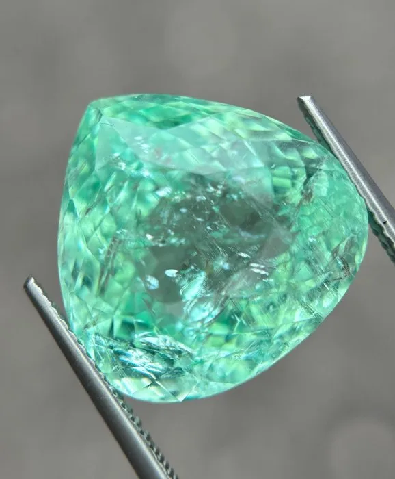 1 pcs Green Tourmaline paraiba - 23.26 ct - Asian Institute of Gemological Sciences (AIGS)
