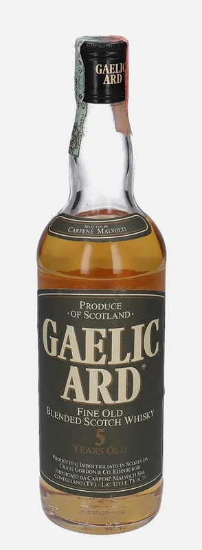Gaelic Ard – 5 Year Old