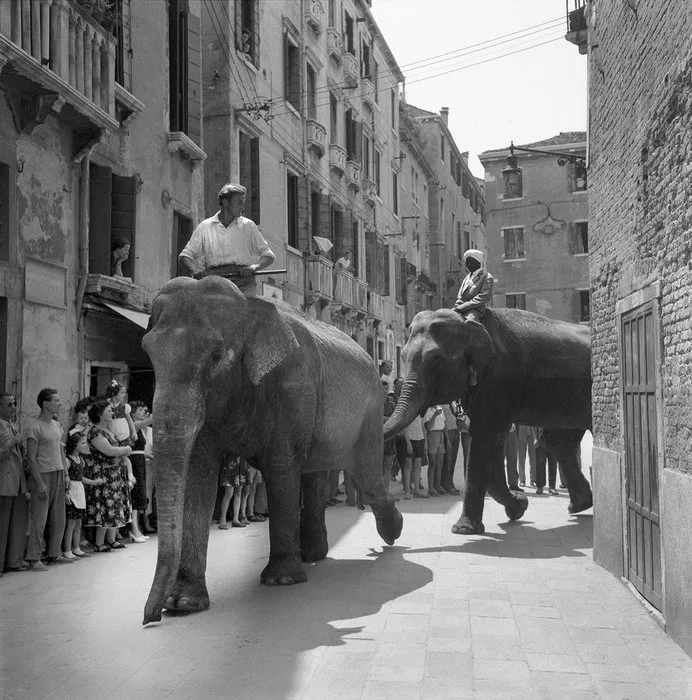 Camerapohoto Epoche/Vittorio Pavan - 02-Circo Togni -campo S.Agostin-VENEZIA~1954 totale