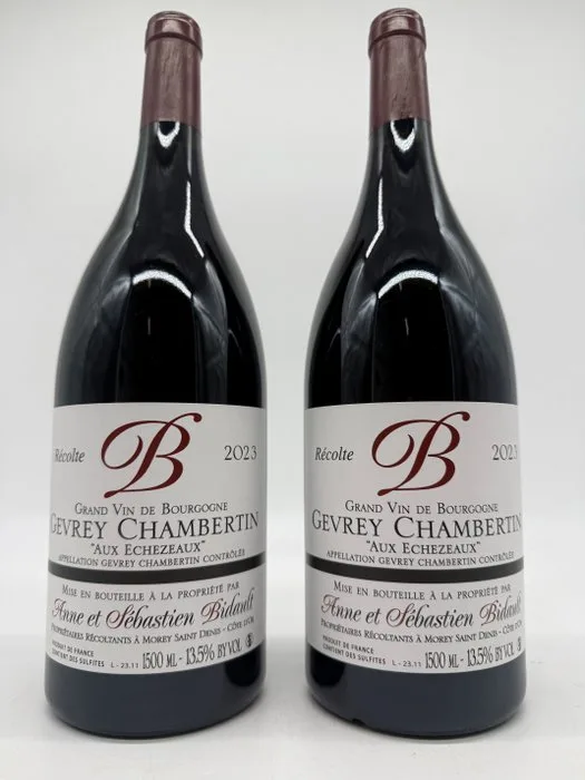 2023 Domaine Anne et Sébastien Bidault « Aux Echezeaux » - Gevrey Chambertin - 2 Magnums (1.5L)