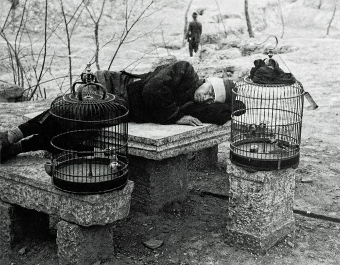 Robert Capa (1913–1954) - Sleeping bird keeper, China 1938