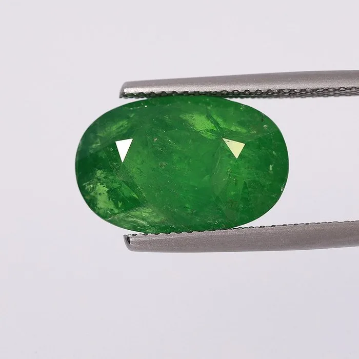 1 pcs Green Tsavorite - 13.32 ct - Asian Institute of Gemological Sciences (AIGS)