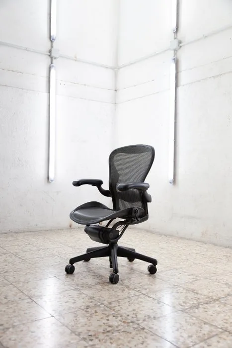 Herman Miller - Bill Stumpf, Don Chadwick - Office chair - Aeron - Polypropilene, Aluminium