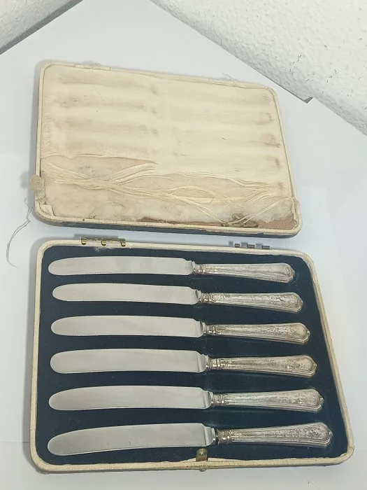 Fruit knife (6) -.925 silver - Silver handled knives