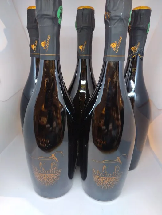 De Sousa & Fils, 'Mycorhize' Grand Cru Extra Brut - Champagne - 5 Bottles (0.75L)