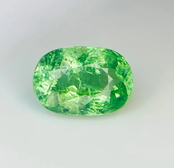 1 pcs Green Tourmaline - 2.37 ct - International Gemological Institute (IGI)