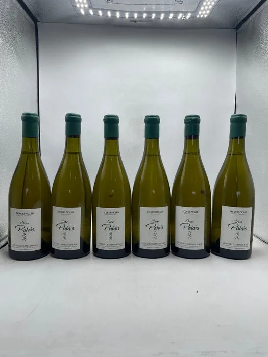 2020 Jacques Picard, Parcellaire Son Palais Coteaux Champenois Blanc - Champagne - 6 Bottles (0.75L)