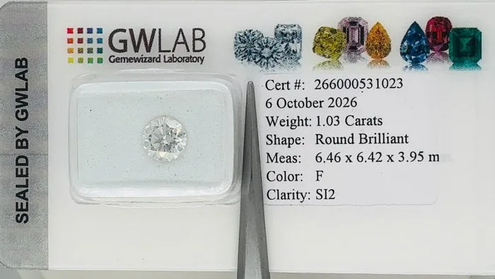 1 pcs Diamond (Natural) - 1.03 ct - Round - F - SI2 - Gemewizard Gemological Laboratory (GWLab)