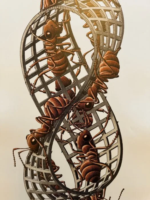M. C. Escher - baarn Holland - Mobius - 2000s
