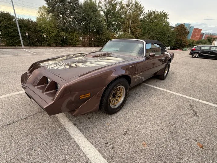 Pontiac - TRANS AM TA 6.6 - 1979